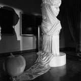 CRASH VENERE 1/1 2025