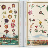 Libro TASCHEN J. C. Volkamer. The Book of Citrus Fruits – 45th Ed.