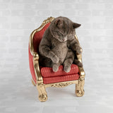 Scultura Werns Gatto su poltrona in poliresina