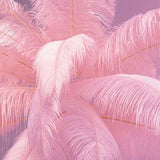 KARE DESIGN – Lampada a Stelo Feather Palm Pink 165 cm
