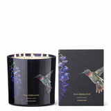 Candela profumata Hummingbird 1450g VILA HERMANOS