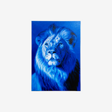 MARCO GRASSO - UNTITLED 2025