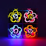 Neon luminoso in vetro "Daisy" rosa con box acrilico