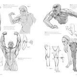 Anatomia artistica Vol. 4: Corpi muscolosi – L'Ippocampo Edizioni