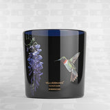Candela profumata Hummingbird 1450g VILA HERMANOS