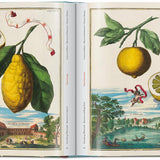 Libro TASCHEN J. C. Volkamer. The Book of Citrus Fruits – 45th Ed.